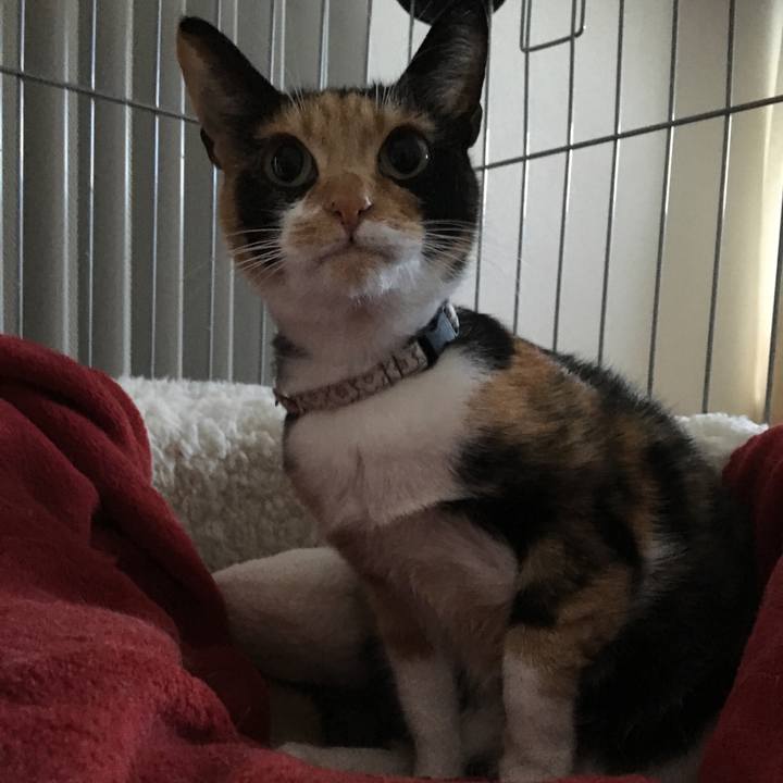 212100c6 ac4f 4768 9d75 4c0d5a17790a