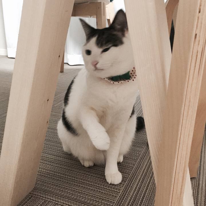 212133f6 fbb3 4c86 aa2a 8ba027c3bad7