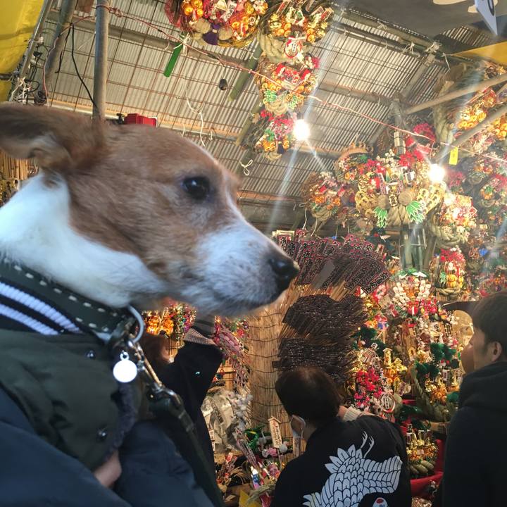 21221749 5f7b 4161 bf76 37268bef9790