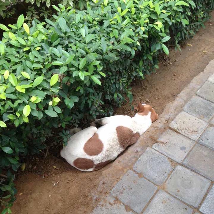 21228853 2a06 4010 b8fb d1b0a1352aeb