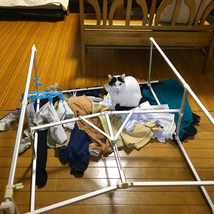 2123008d 2920 4332 8cf1 7d0f9ef62b76