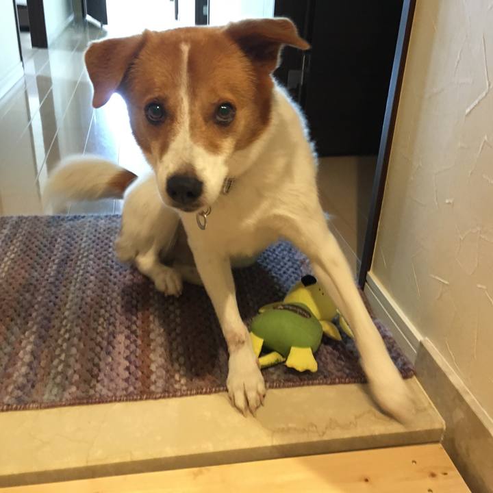 21235f33 00cd 49e6 b5a9 a51438cea764