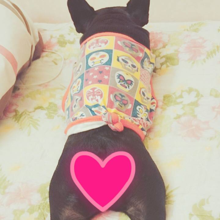 212383a6 473f 46c6 a4a9 ec907a3ba78b