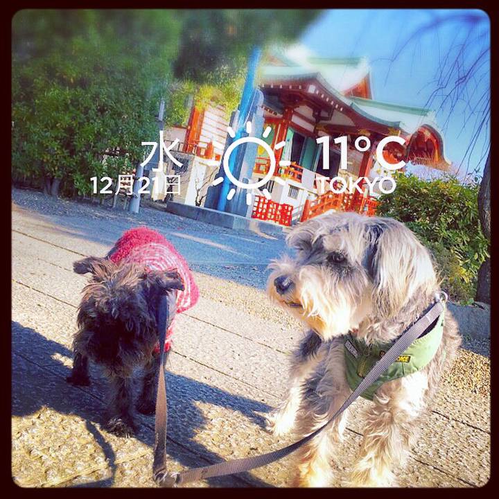 2123b33d 95c3 4866 b126 2d738c49b1f1