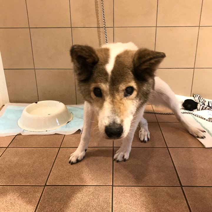 2123b885 abd3 454f b16a 4119ba9a82eb