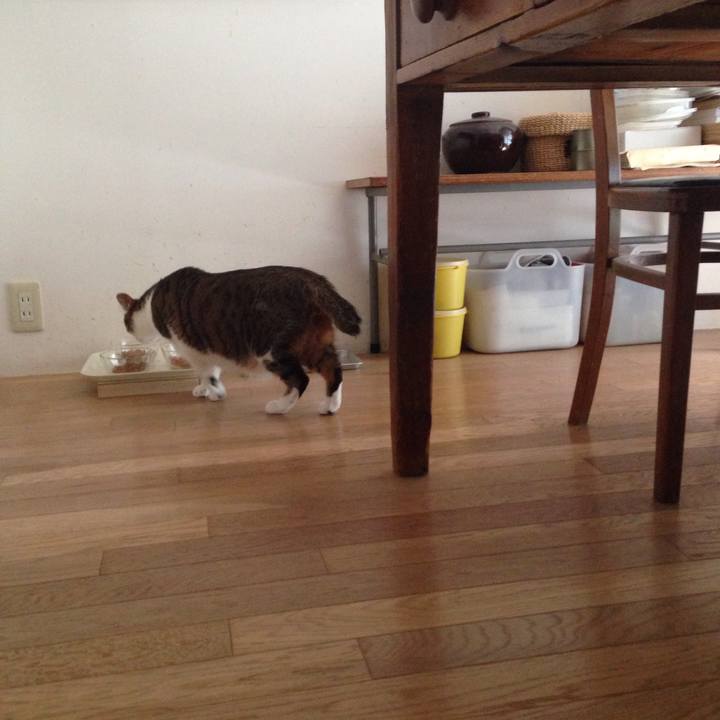 2123c647 c9da 463a 81a1 2dbdf4196f3c