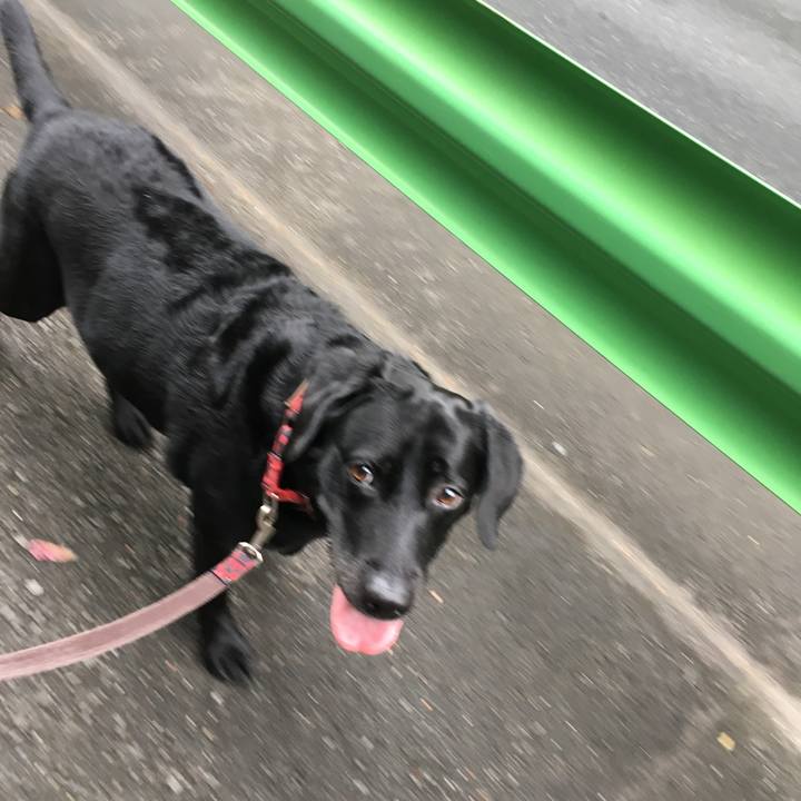 21241168 2ed6 4cdf acf9 5102ac417f56