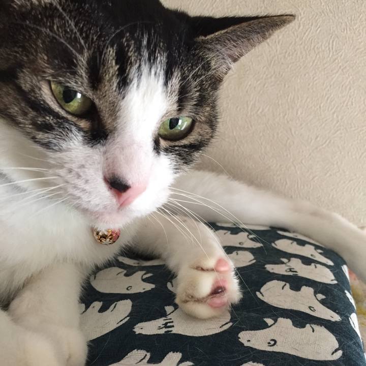 212434b9 2e54 40ba 8507 fef6e5daa4d3