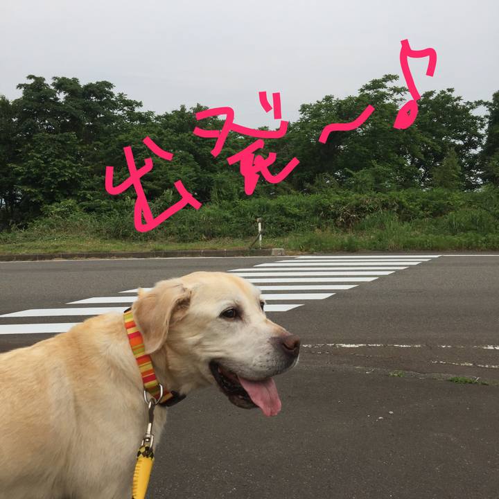 212476db c96a 4552 9085 e1be85c8e1e3