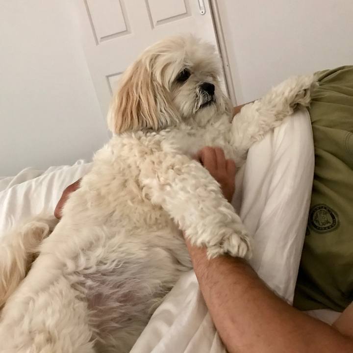 21252691 c26d 4020 a4f5 8d03727c39d4