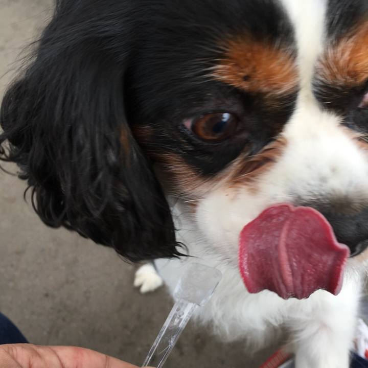 212602c7 ea41 4fd5 a8de 1fdee0cba616