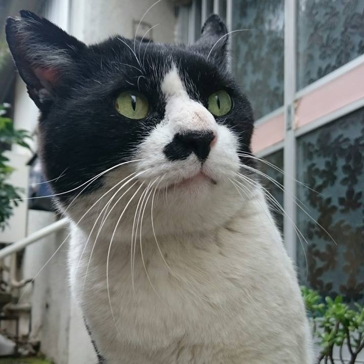 2126dc7e dbdc 4f7b a811 ea7a974af7bb