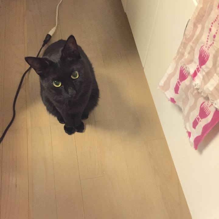 212728aa 8758 4286 8940 9692c4b3d42e