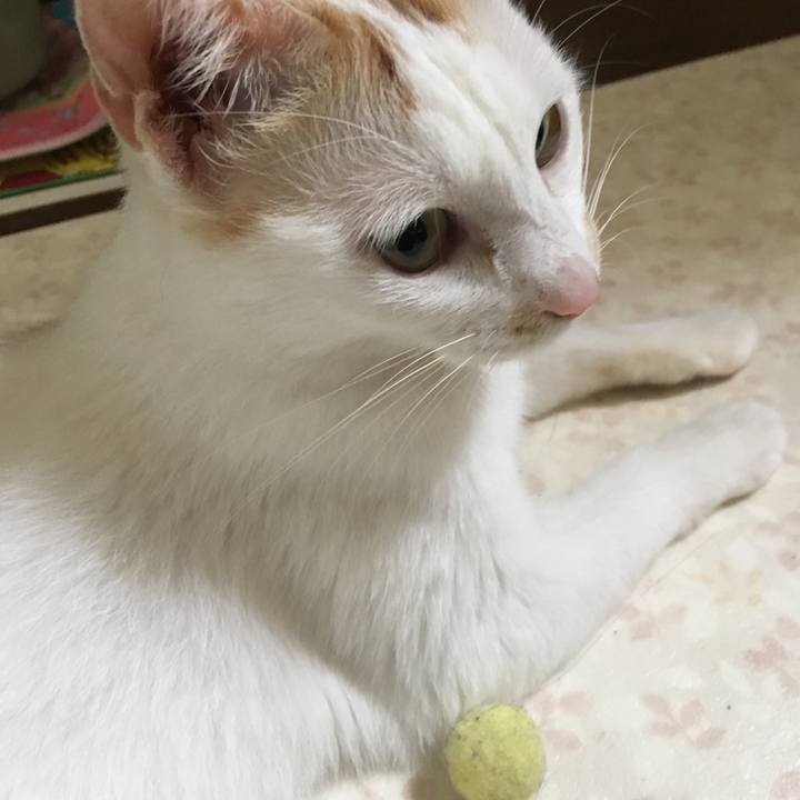 2127bd81 bad6 4d87 9968 a42cc32f72c3