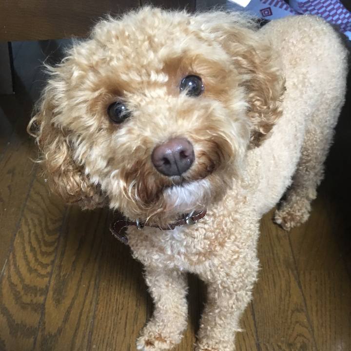 2127f4e9 a470 4116 baa8 186f8426b5a0