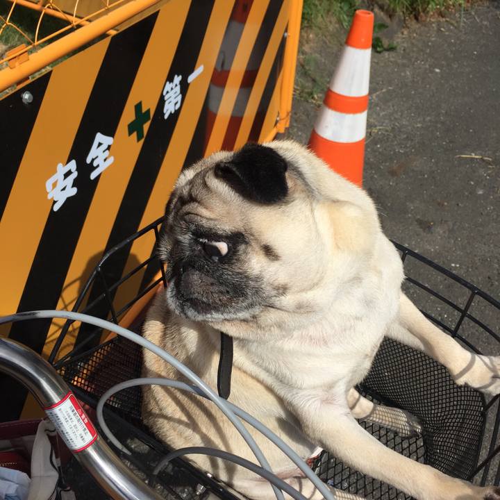 2128f164 32c8 47c7 83d1 f4fd6bca04ee