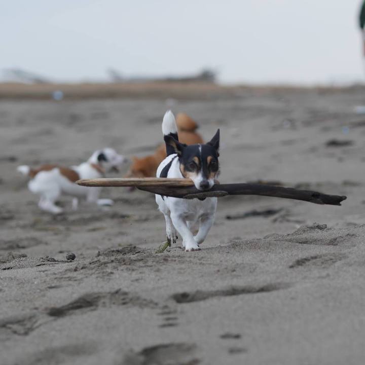 212a5399 5fa6 4491 b193 5abe4ff74fda