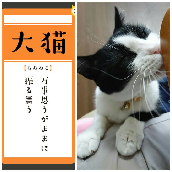 212b0222 2c62 4a2a aaa5 3575e92fad02