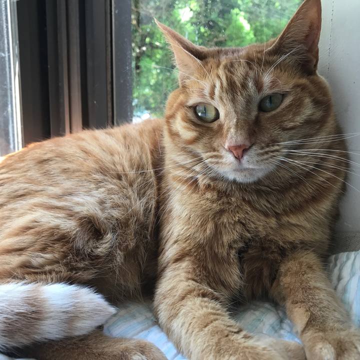 212b16a4 a5cf 496a 82df 76215fb344b8