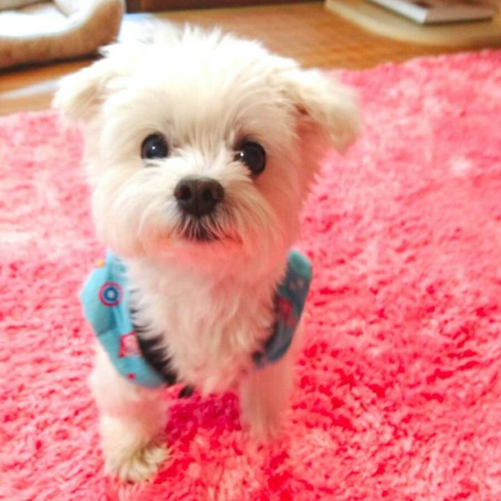 212b1cbd d29b 4dcf 80d9 8e2adfa23cf5