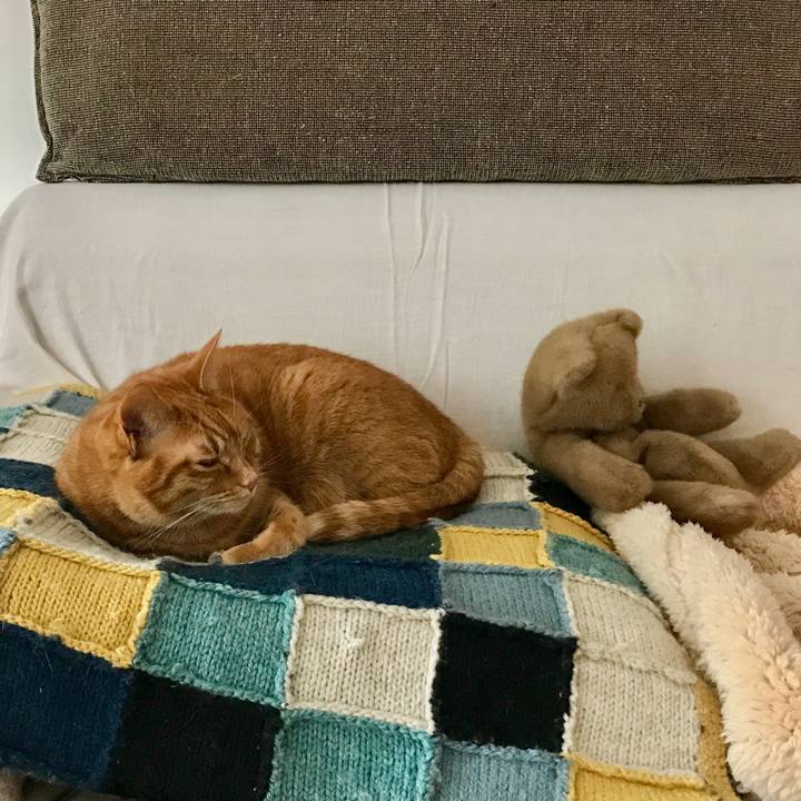 212b20dc 4b75 4256 983d 9c1f34245ec2