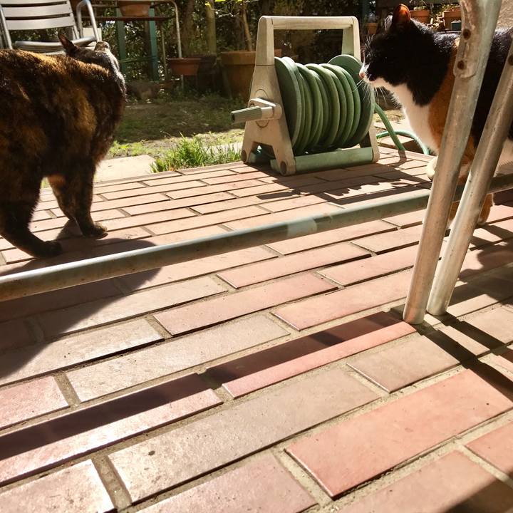 212b62c3 04dc 46a8 9a7e e28d053b7ae8