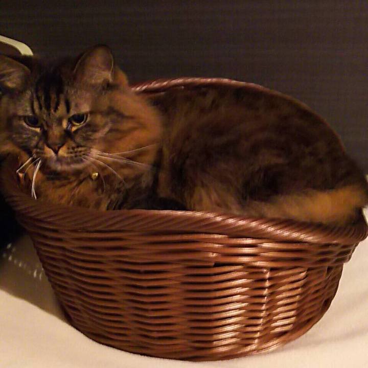 212b9ea0 b050 4b16 9379 8601d6f3bf9f