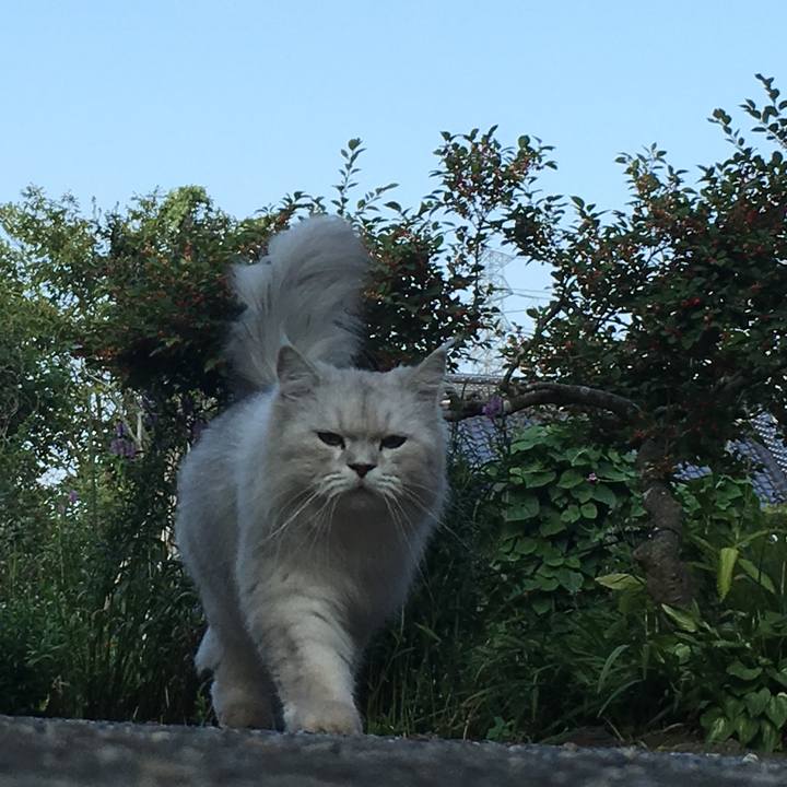 212c40a4 8815 4ab7 875a f493bbdcca2d