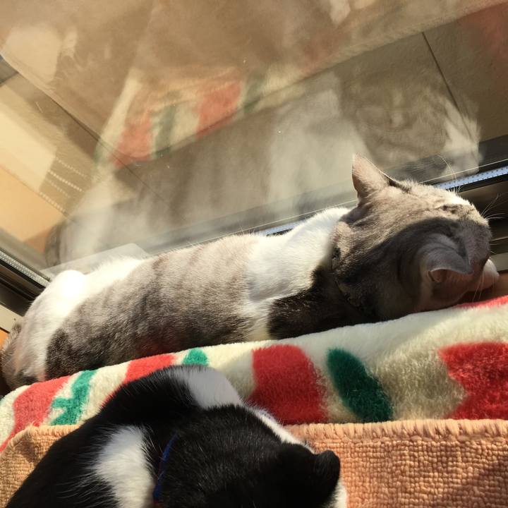 212c6788 fdd6 46e4 85d7 f7789b1edbf2