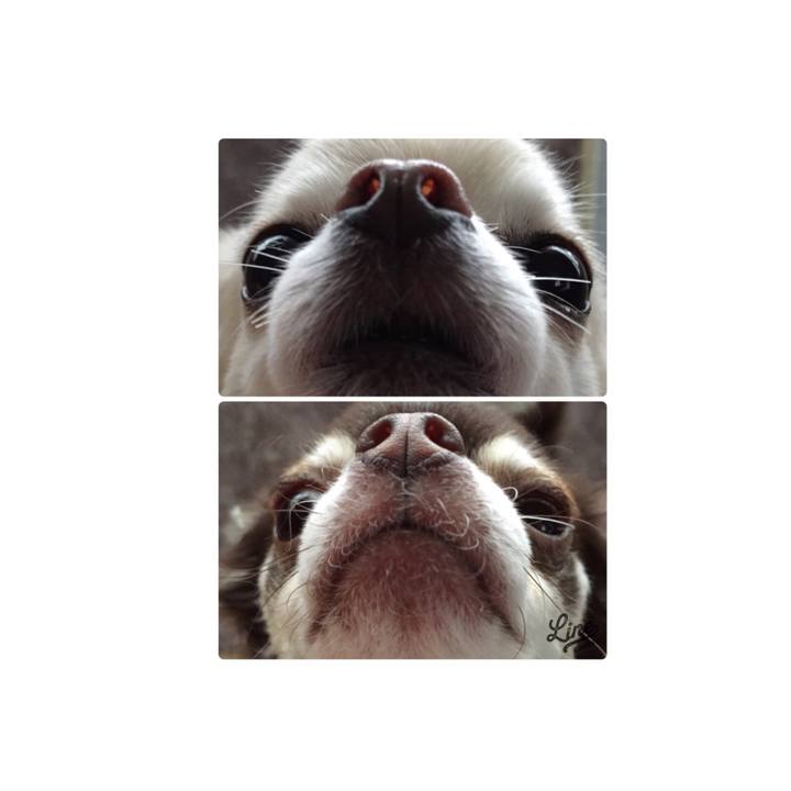 212c927f 648f 41f1 acd9 b340951e8955