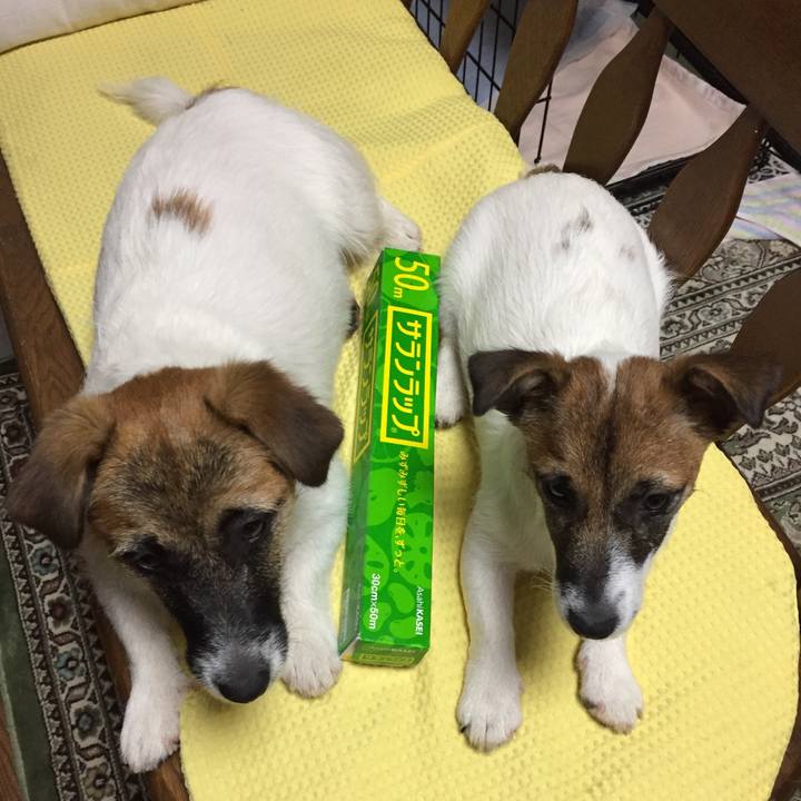 212cc72d 3356 4381 9914 4cf24a55d347