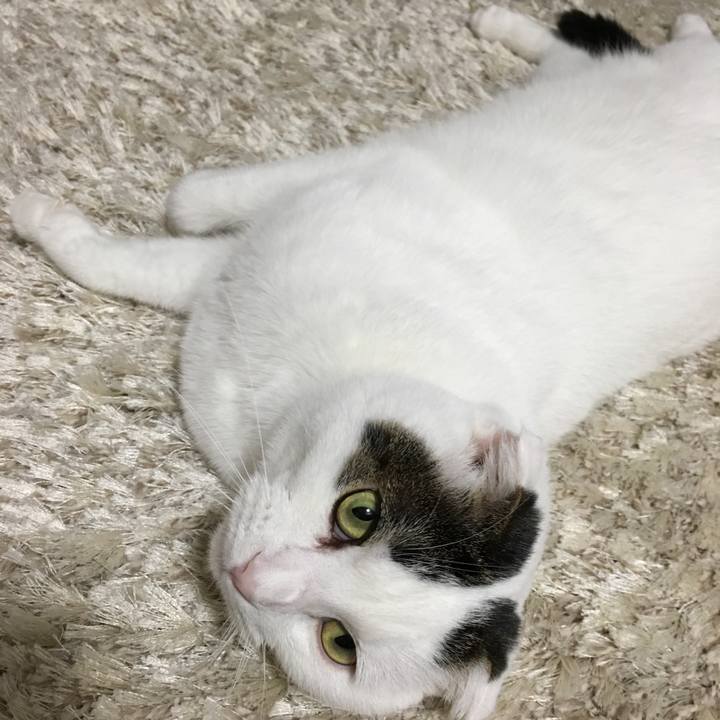 212cc96f 8502 4ec5 ad01 6b732ee68fb7