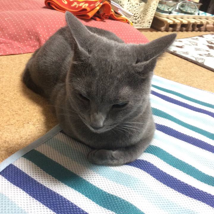 212d12f3 4db2 4f6b b4d4 2a997b548ccd