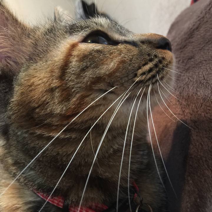 212d9b56 60dc 415e ab02 a28e18ba45e4