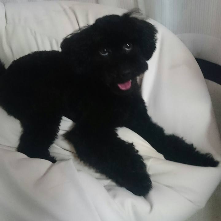 212da9bf f720 418f 9e5c dfe4d1a50ee6