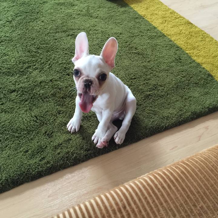 212dbc1a 66bc 4e3b 9ad3 a8eae5de3a23