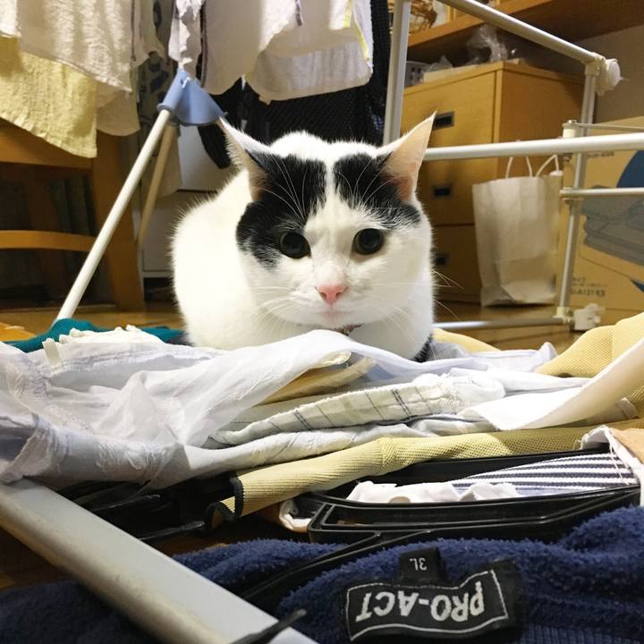 212dfb3e 52c7 4217 9aae 8d31c57437c2