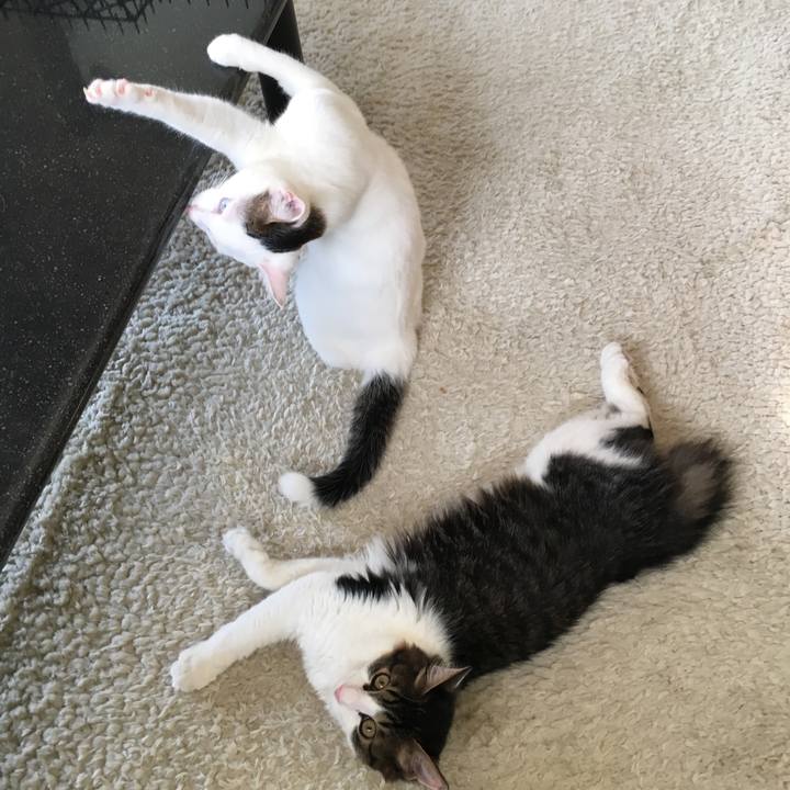 212e2bac 55c8 4466 814f cf89fdaa1d24