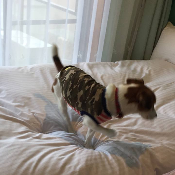 212e538d 97f0 469d a5a5 a1e9b8f1a8b4