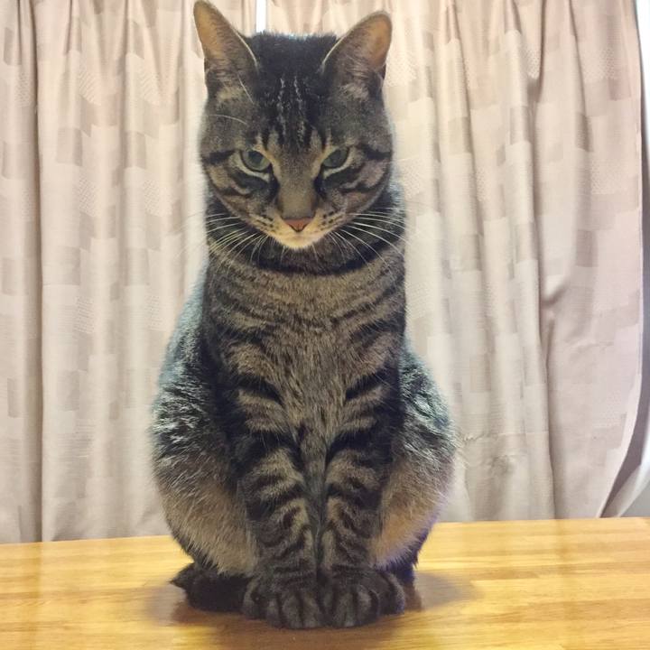 212e8710 c251 4298 89dd 31ec3c1acde8