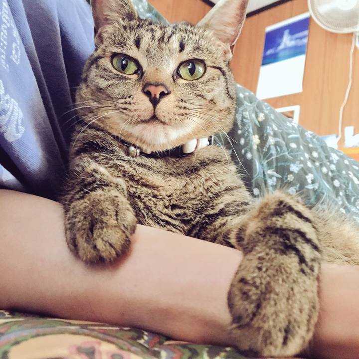 212f7721 1b0c 4602 a940 20b71ef65cf3