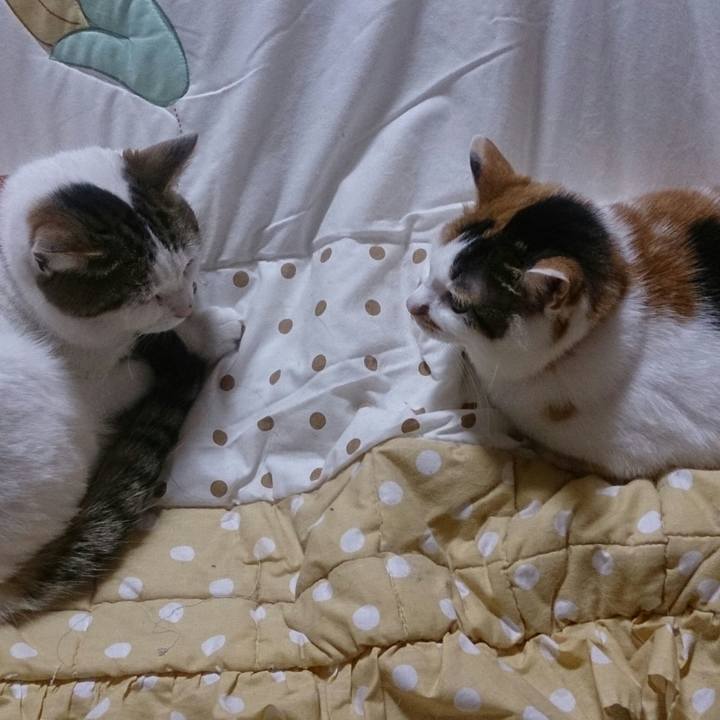 212fd773 0124 4a23 bb3e 336a3564ffd8