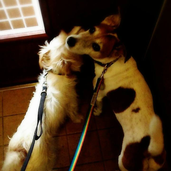 212fe501 a228 4e67 9ff0 a052988c2dd5