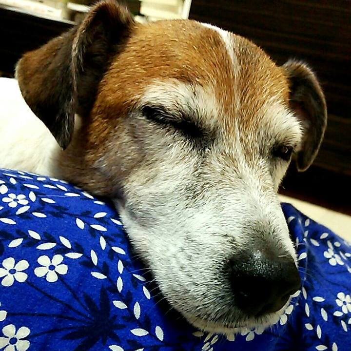 21303723 28c3 41af bd0b ae65195cfbeb