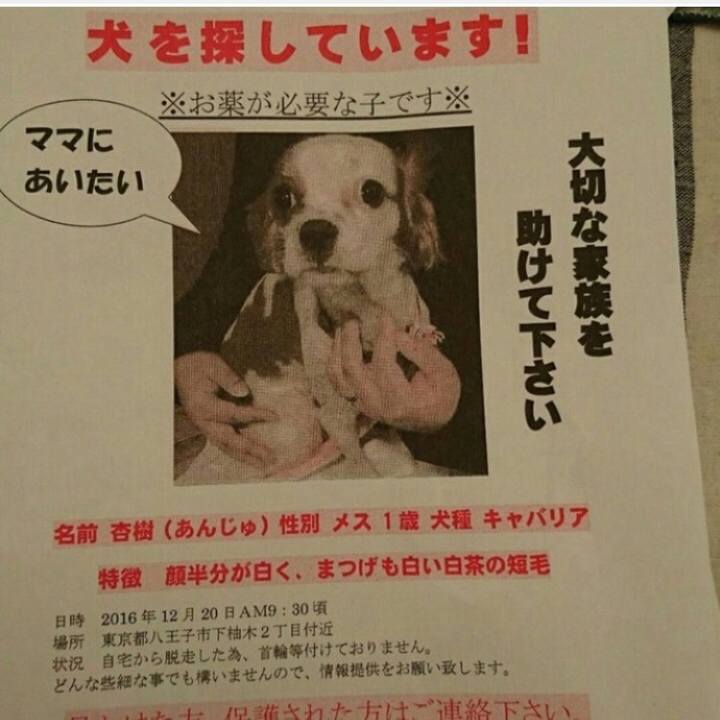 2130cc33 86d0 4fbe 90bf 2f38a6b517ff