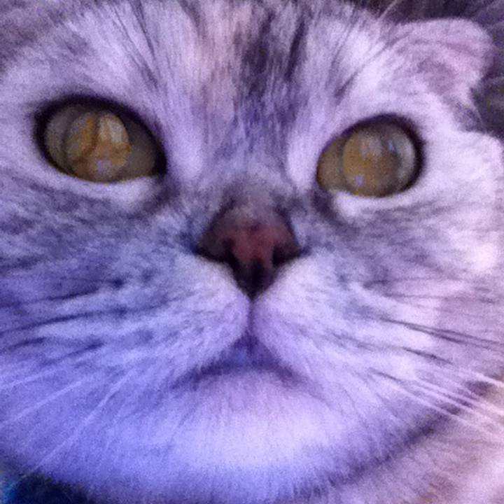 2130f6d2 65c2 4403 9fc3 0b3d5b92a812