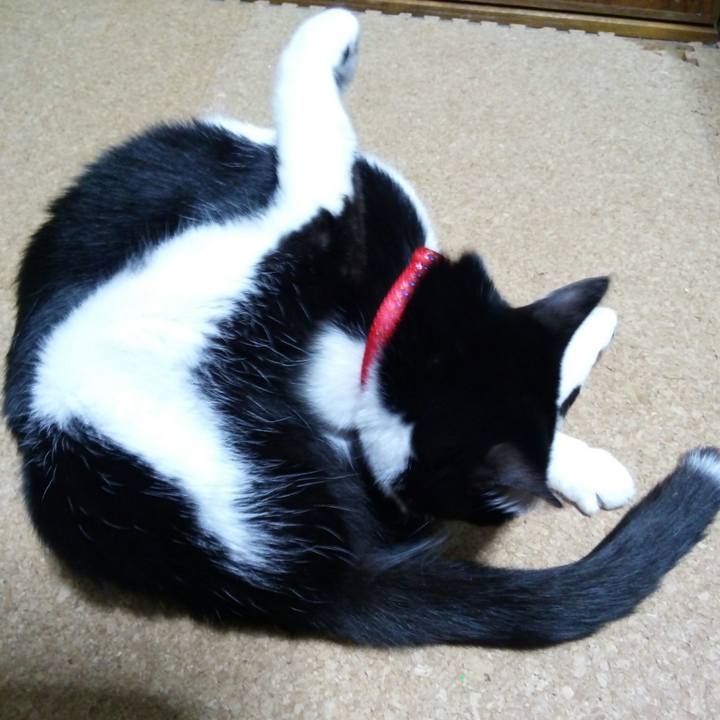 213140cc 0708 4b82 8ce5 92546709b0bd