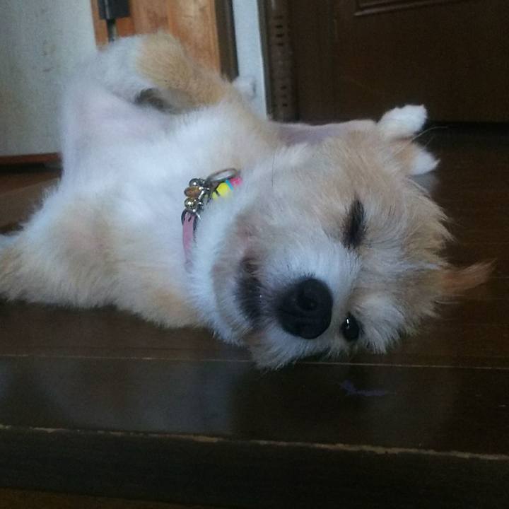 213186b6 93b3 4e67 9164 bb4b42ff93ca