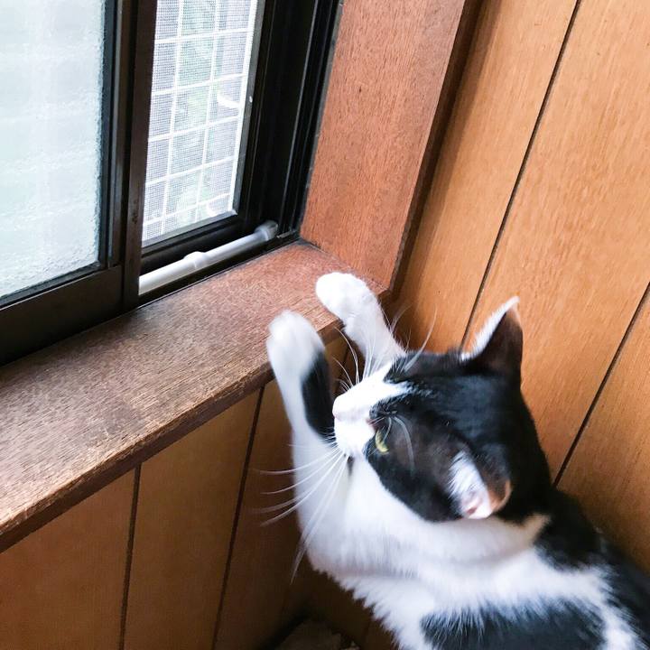 2132e5b2 6f66 4ca2 b71e dd22547637bb