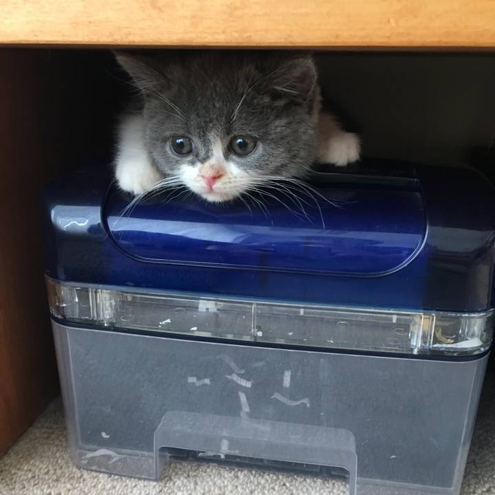 2132eb82 0410 4e30 a70d d8424c7cc3c2